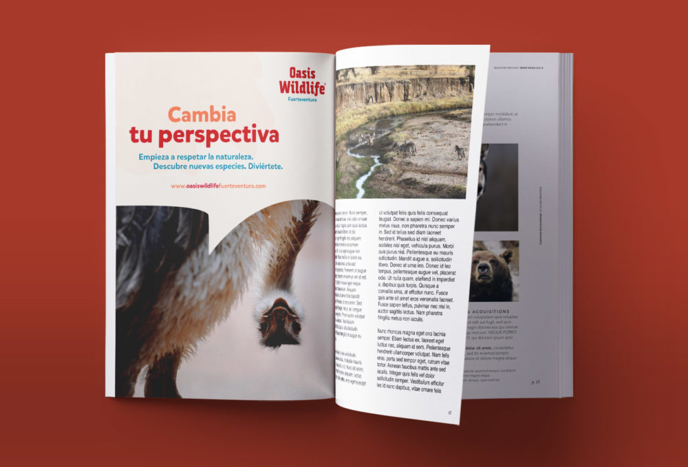 200411-Oasis-1400×950-magazine